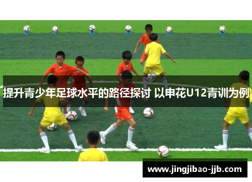 提升青少年足球水平的路径探讨 以申花U12青训为例