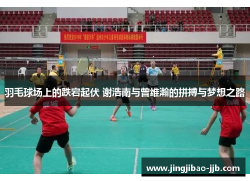 羽毛球场上的跌宕起伏 谢浩南与曾维瀚的拼搏与梦想之路